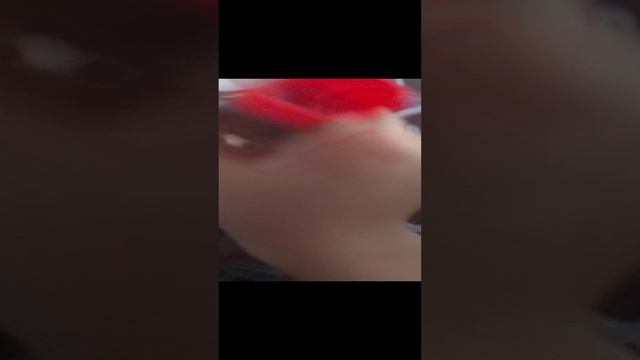 купил солид