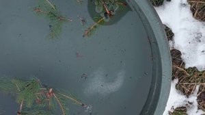 Чистка в потоке, снимаем порчи сделанные мастерами.