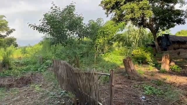 АФРИКА КОФЕ АФРИКАНСКИЕ ДЕТИ БУДНИ УЧИТЕЛЬ В ШКОЛЕ #africa #африка #школа #деревня