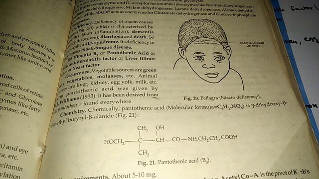 Water Soluble Vitamins