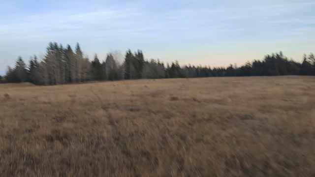 VID_20241124_153710 смотреть онлайн