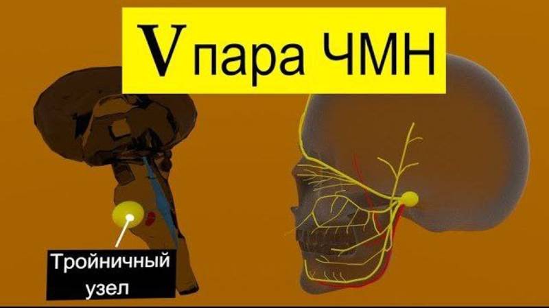 Тройничный нерв за 3 минуты | Путь от мозга (схематично)| Medanatfarm смотреть онлайн