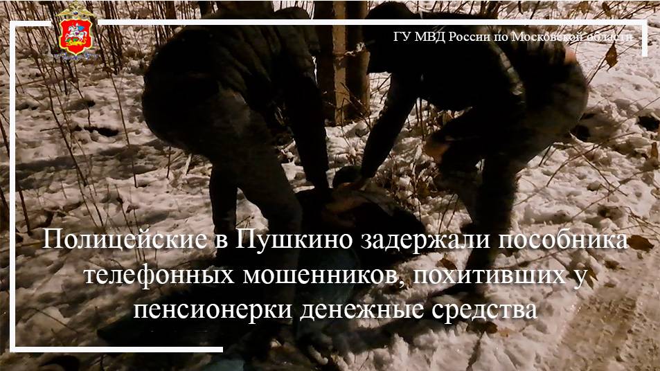 Полицейские в Пушкино задержали пособника телефонных мошенников, похитивших у пенсионерки деньги смотреть онлайн