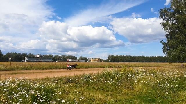 Ипподром смотреть онлайн