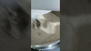 ЗЕФИРНЫЕ ТЮЛЬПАНЫ 3/МК ТЮЛЬПАНЫ ИЗ ЗЕФИРА/СЕРЕДИНКИ ДЛЯ ЦВЕТОВ НАСАДКОЙ ТЮЛЬПАН/ОБЗОР НАСАДКИ