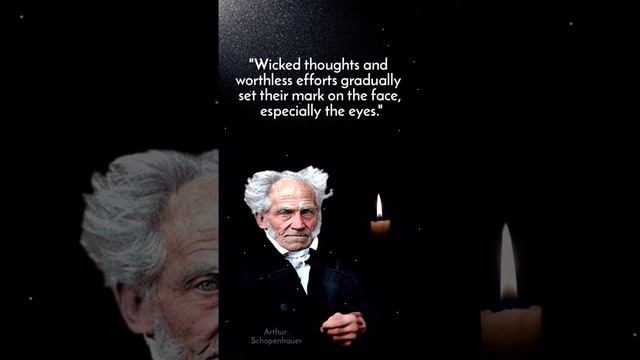 arthur schopenhauer quotes you must hear before you get old смотреть онлайн