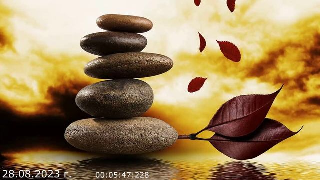 768 Вопрос в группу ВК 28.08.2023 г смотреть онлайн