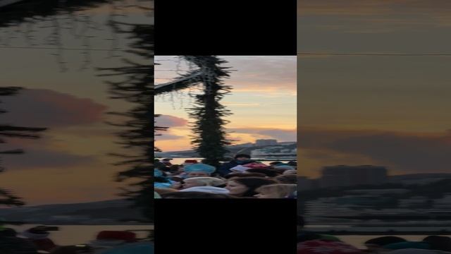 Ялта сегодня зажгла елку на набережной и все новогодние огни смотреть онлайн