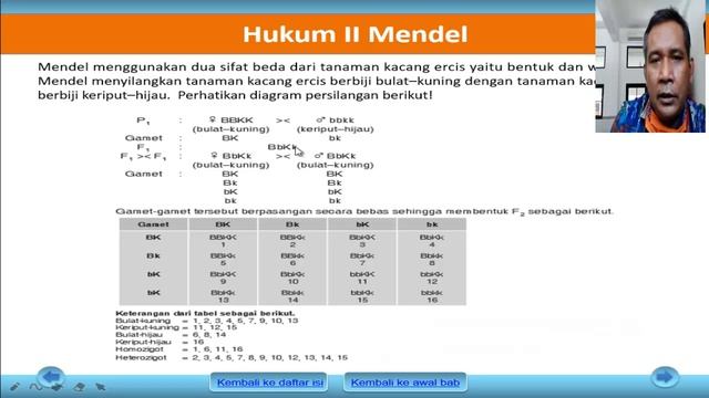 BAB 5 HUKUM MENDEL BIO KLS 12 SMANIX смотреть онлайн