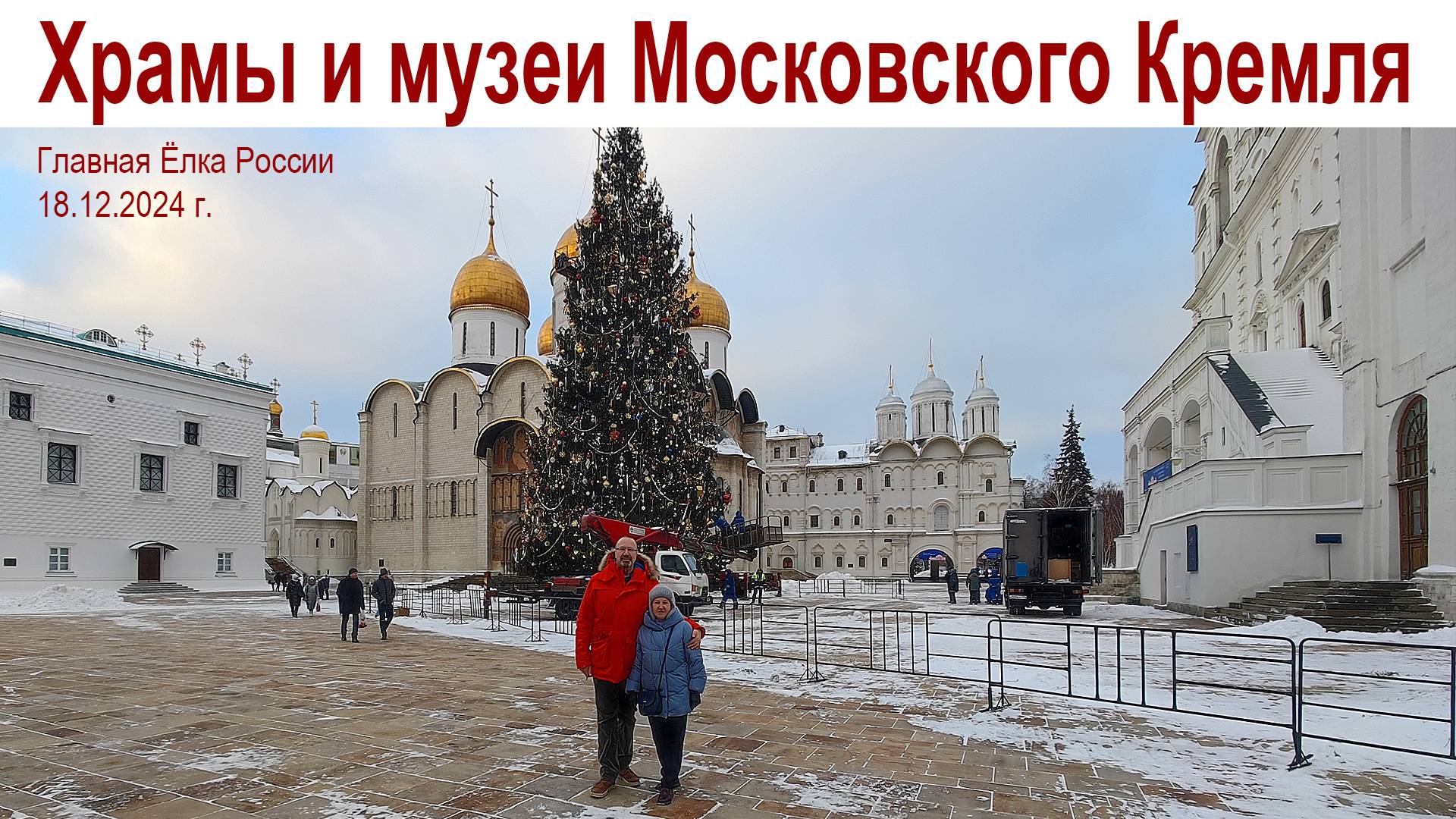 Главная Ёлка России в Московском Кремле или КОТоБудни от 18.12.2024г. смотреть онлайн