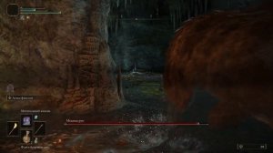 КУДА ВЕДЁТ ЭТОТ СТАРИК! ELDEN RING #12