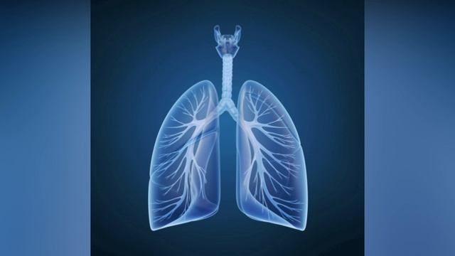 O'pka Salomatligi Uchun 4 Tavsiya смотреть онлайн