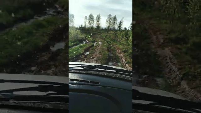 2 часть по катушек в лесу на шниве смотреть онлайн