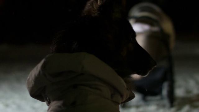 Московская_область_Световозвращающие_элементы