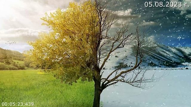 757 Предсказания 05.08.2023 г смотреть онлайн