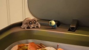 Паучок Лукас. Новый друг!