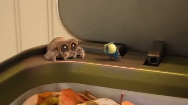 Паучок Лукас. Новый друг!