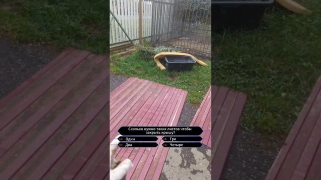 Жить в деревне это... перестилать крышу вольера, когда старая начала течь смотреть онлайн