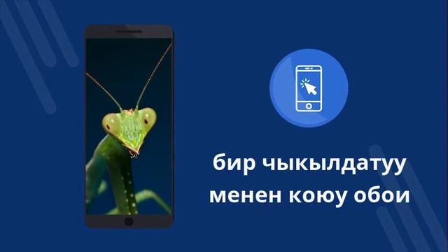 Курт-кумурскалар обои 4K смотреть онлайн