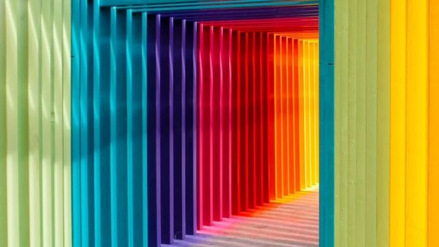 How We See The World Color full | Kuch Janwar Ham Jese Colors kyon Nahi Dekh Pate | смотреть онлайн