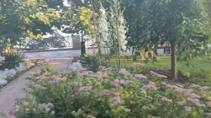 как я ездил в город Ейск к вело мастеру Ивану .