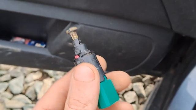 European Car Enthusiast Collective