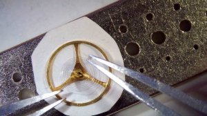 Cardi Восток: калибр 2414 - полный процесс мойки и макро