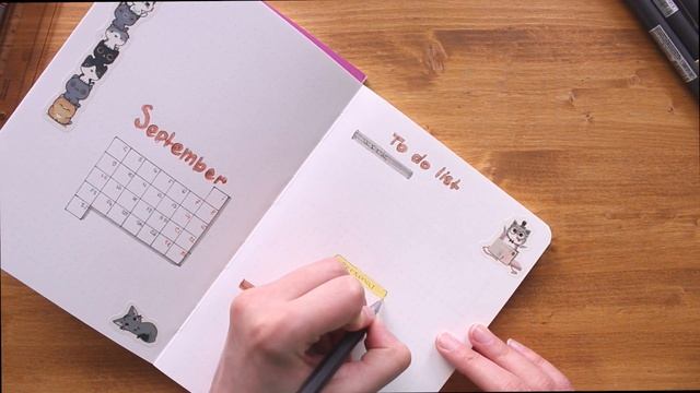 PLANN WITH ME Сентябрь. Стремление к минимализму смотреть онлайн
