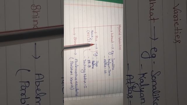 (16)#Hybrid Varieties. смотреть онлайн