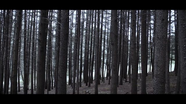 Sonor Am - El Gigante (Videoclip Oficial)