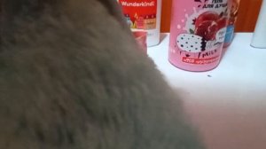 как сделать таба лапку липкой (лайфхак)