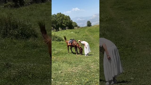 Любовь…♥️ смотреть онлайн