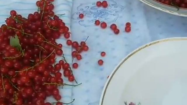 Компот из красной смородины. смотреть онлайн