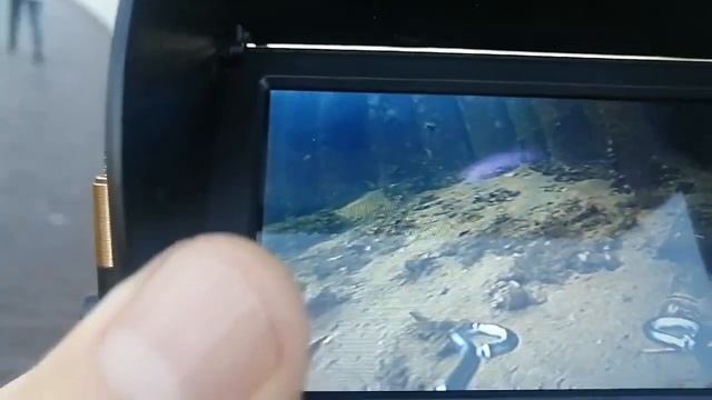 Тест бюджетной подводной видеокамеры смотреть онлайн