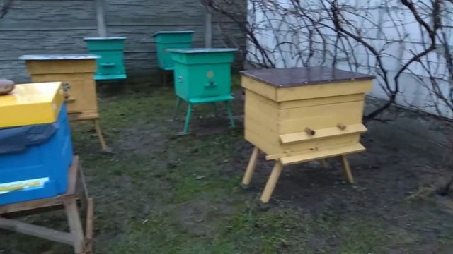 Чуть Не Покусали Обхожу Хозяйство смотреть онлайн
