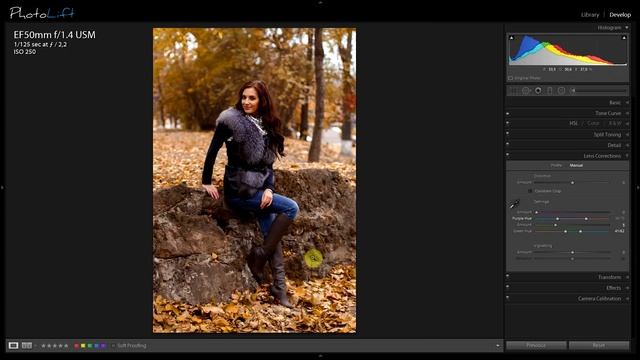 Осенняя обработка и цветокоррекция фотографии | Лабораторка №7 | Фото Лифт смотреть онлайн