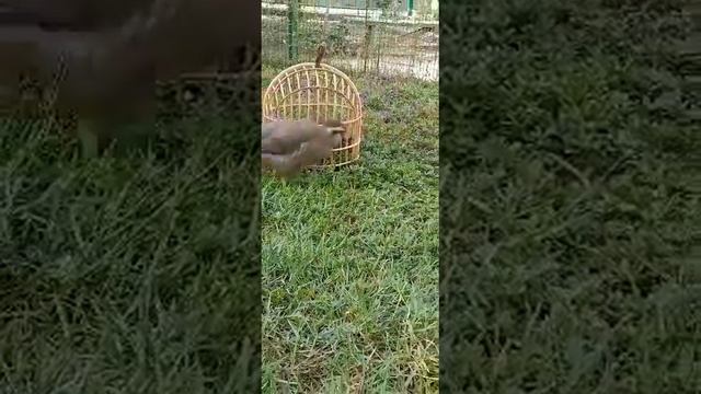 25 августа 2023 г. смотреть онлайн