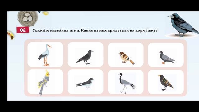 Rus dili/ 6-cı sinif/ ikinci xarici dil/ dərs 14 смотреть онлайн