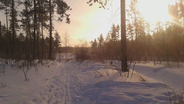 Scorpions - Humanity // Slowed + Reverb