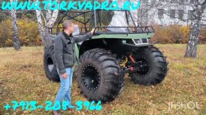 Квадроциклы БЕРСЕРК и ВИКИНГ сравнение.