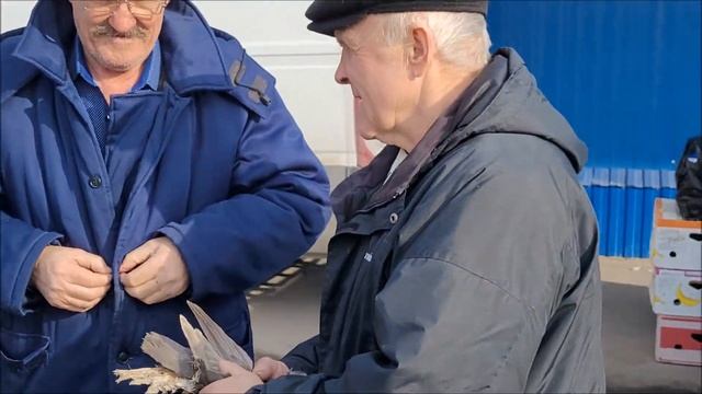 Воронеж 2 часть.Ярмарка голубей города Воронежа. смотреть онлайн