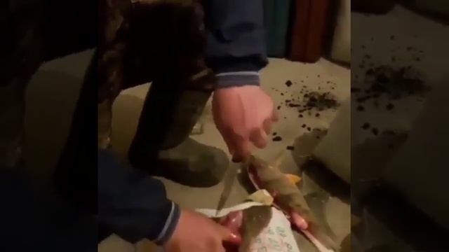 Как правильно разделывать окуня на феле смотреть онлайн