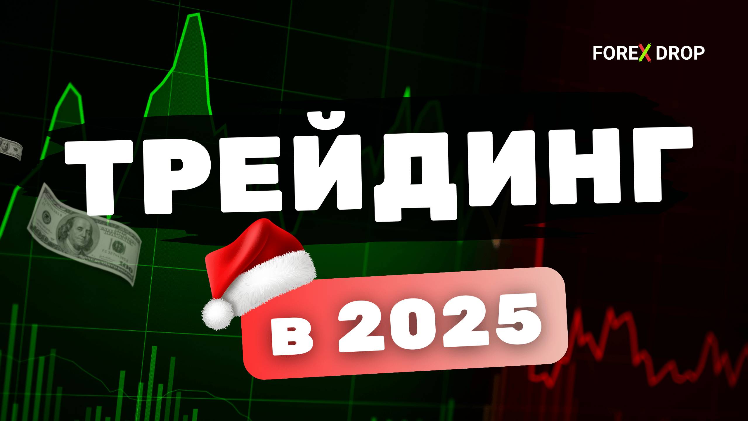 FOREX DROP - итоги 2024г.