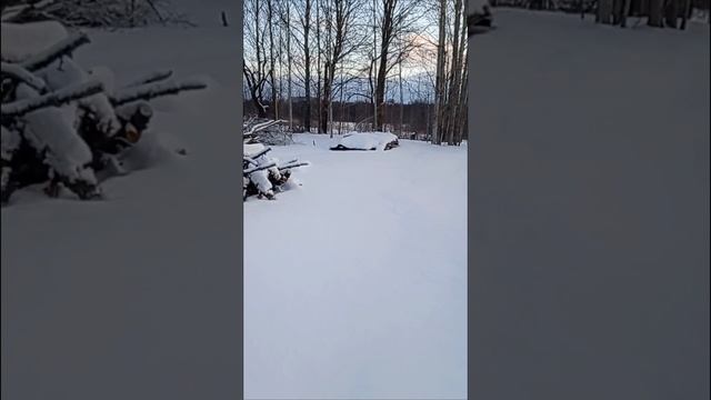 Русские зимы, до чего ж красивы
#зима #русскаязима #зимавдеревне #деревня  #деревенскаяжизнь #жизньв