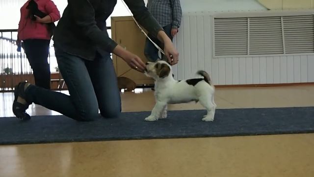 алан боком смотреть онлайн