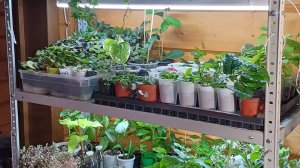 Обзор. Цветочная комната. Второй этаж.