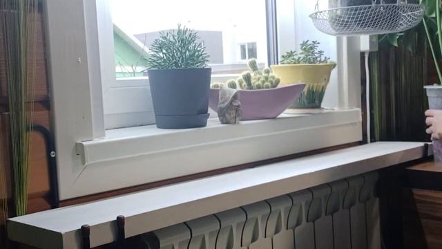 Узкие подоконники для цветочника-не проблема! Как увеличить подоконники своими руками. смотреть онлайн