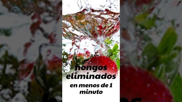 ÁCIDO hipocloroso смотреть онлайн