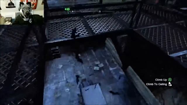 WTF - Batman Arkham City: Feline Fatality смотреть онлайн