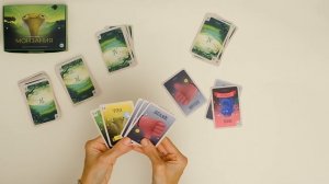 Инструкция к карточной игре «Монзания»